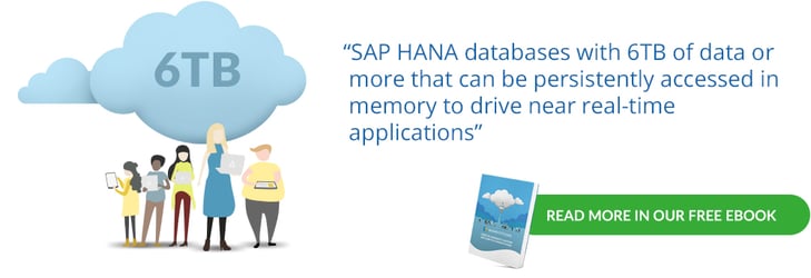 SAP 4/HANA Database