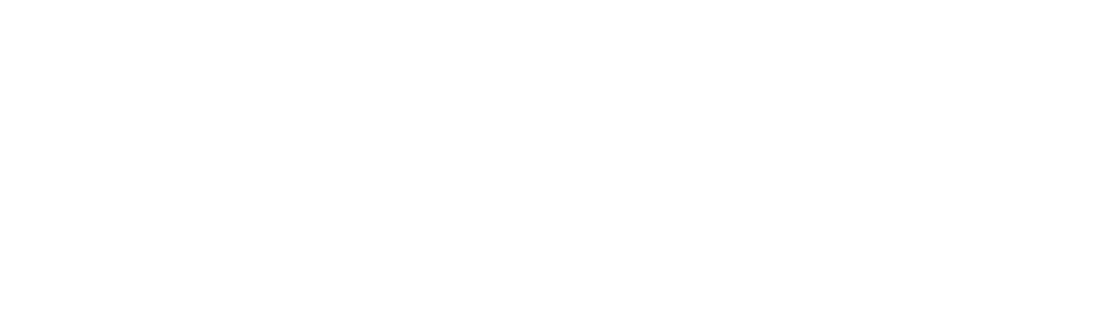 Certified-Support-Partner-White@2x