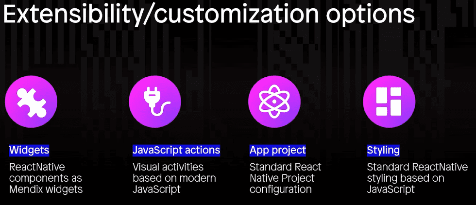 Extensibility/customization options